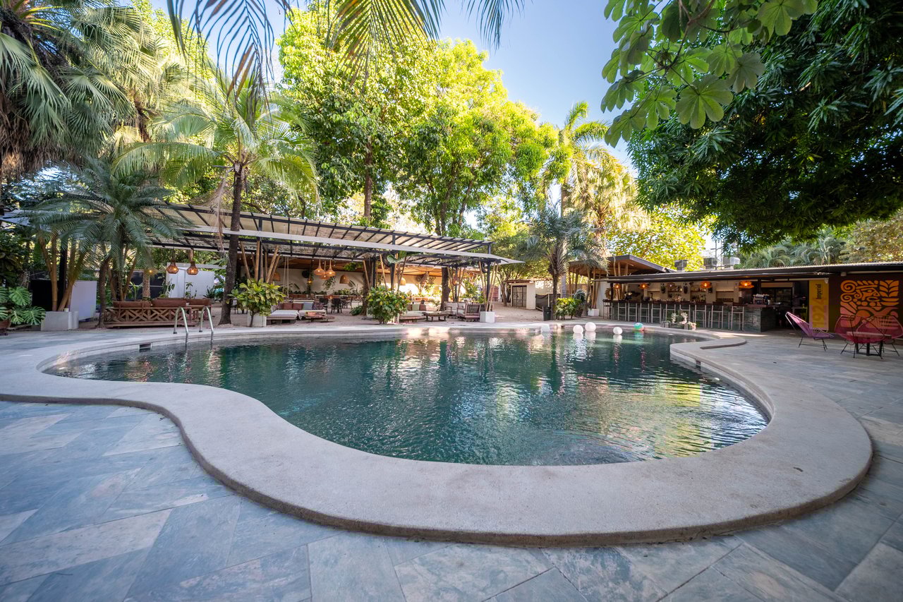 Hotel Curiol | Turnkey Boutique Jungle Hotel with Restaurant & Bar in Potrero