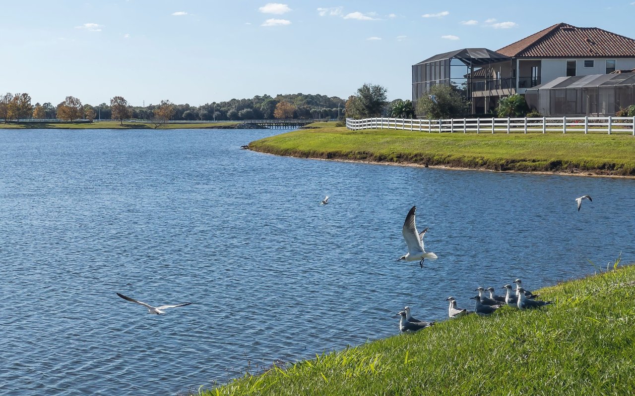 Lakewood Ranch