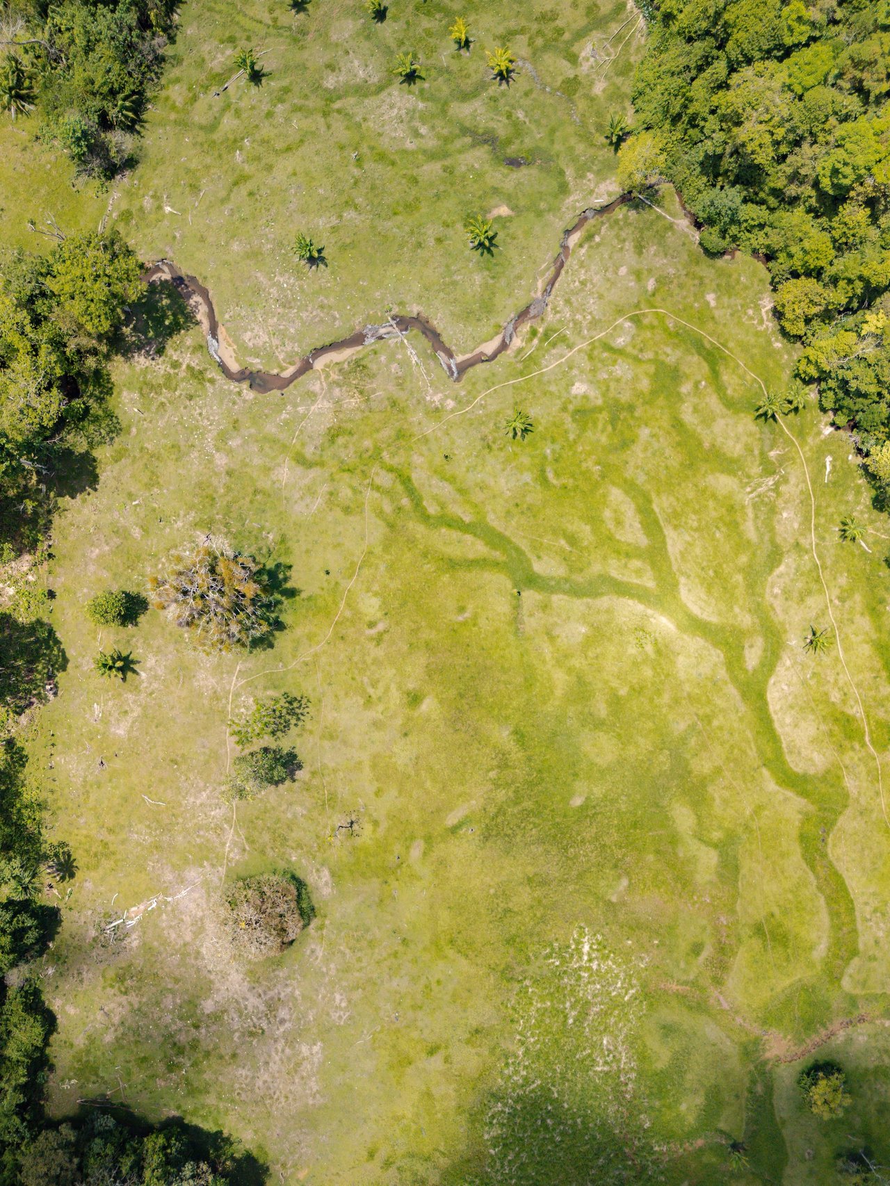 776 Hectares Prime Land in Osa | Ocean Views, Waterfalls, Rivers & Sierpe River Access