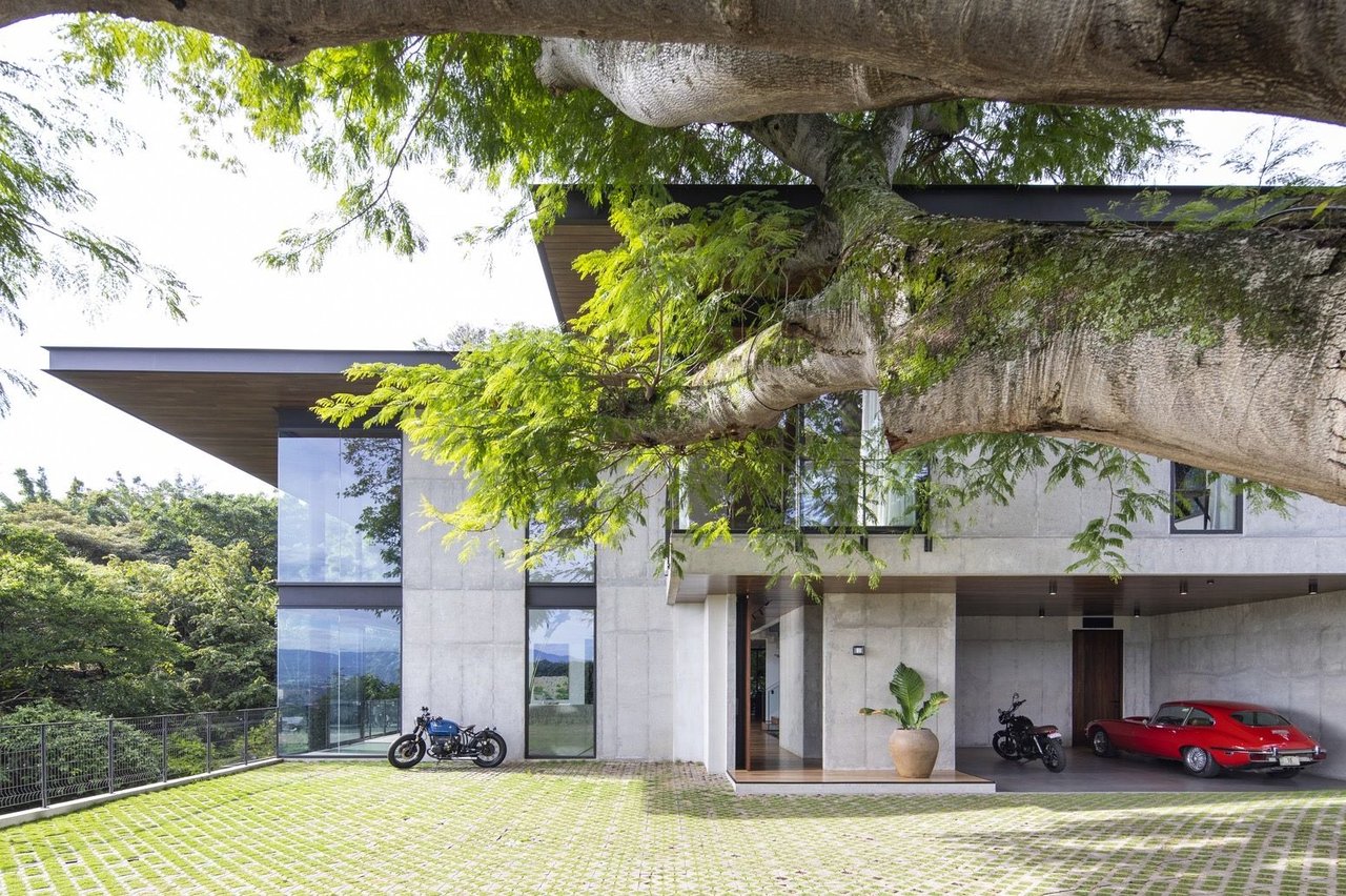 Magazine Mansion
