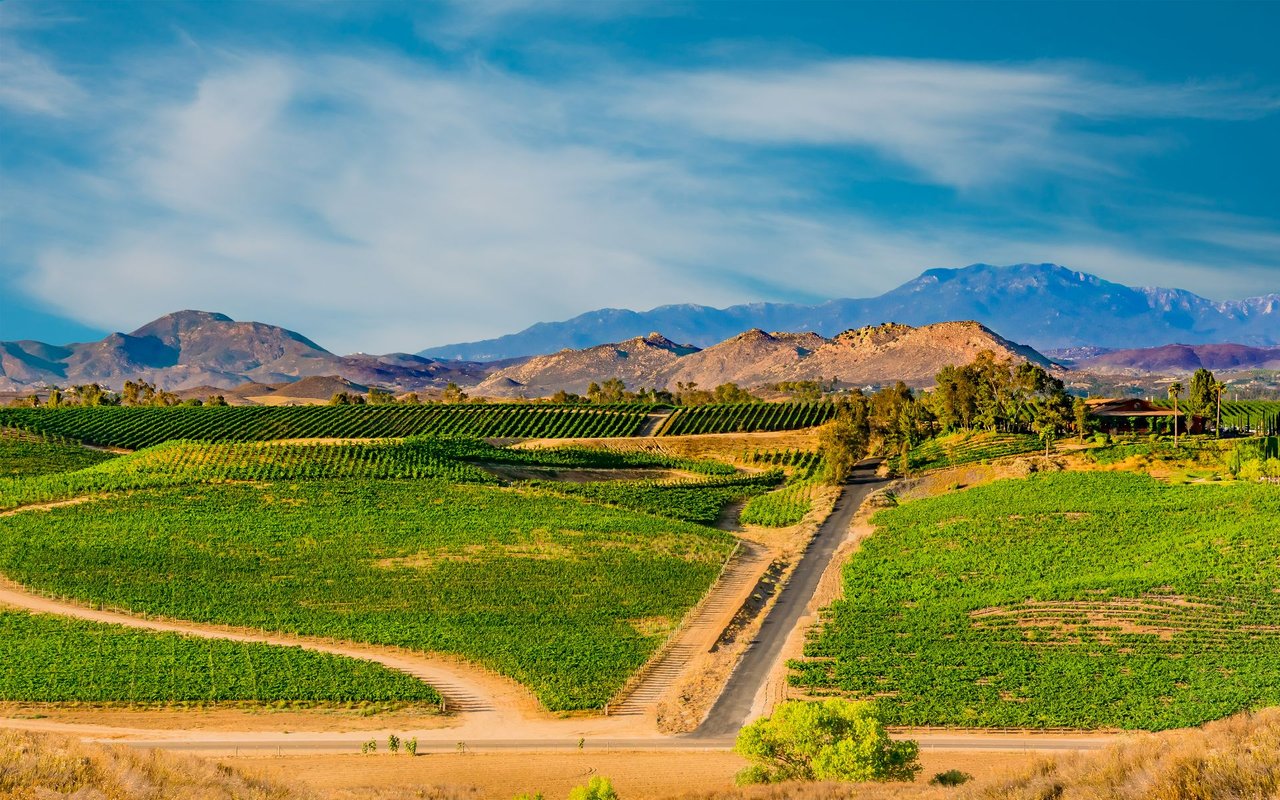 Temecula Wine Country