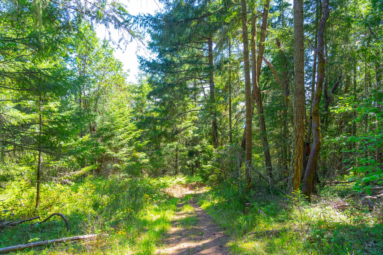 SUTHERLIN HEIGHTS