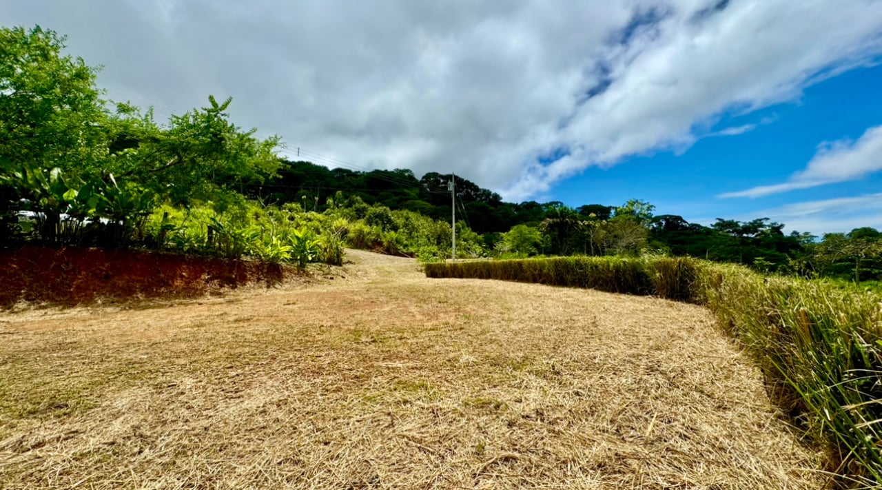 Spring and Waterfall!  3,2 Acres lot in Uvita Mountains 