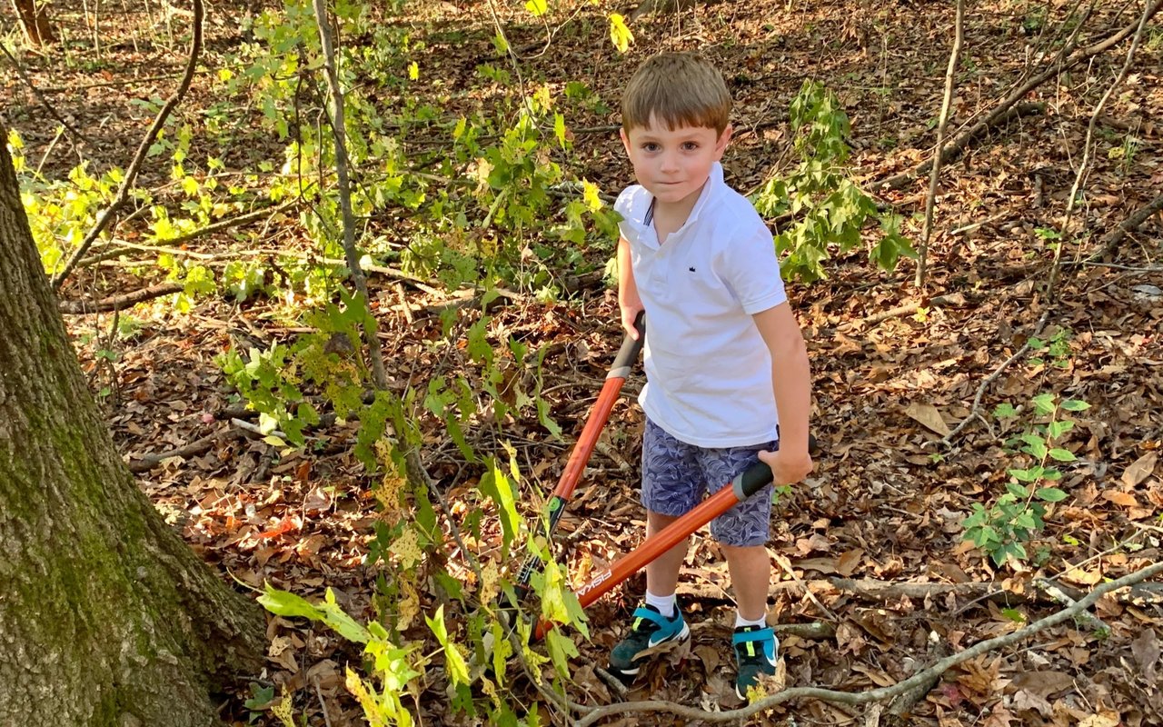 Building a Woodland Garden and Romans Road