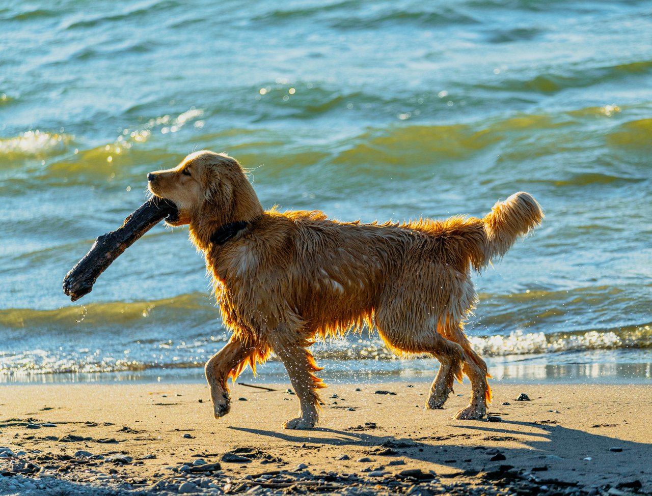 Ring the Bell—It’s Almost Summer!