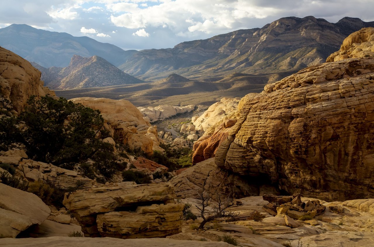 The Ridges Summerlin: A Luxury Buyer's Guide to Las Vegas's Western Rim