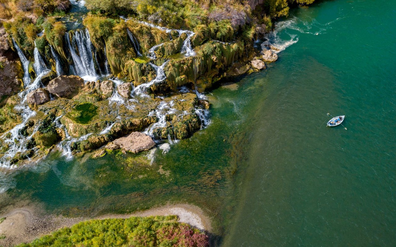 Swan Valley