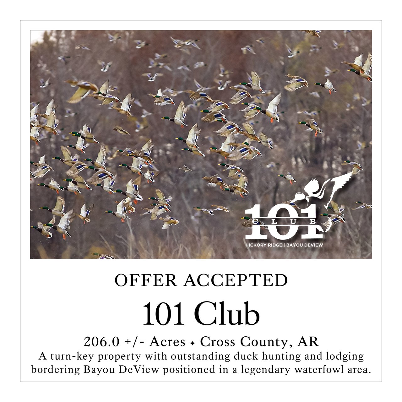 101 Club