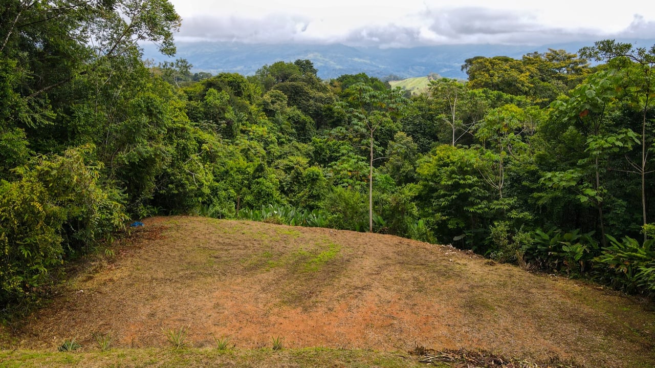 Scenic 2.53 Acres in Fila Cacao Ridge – Build-Ready Lot with Legal Water in Platanillo!