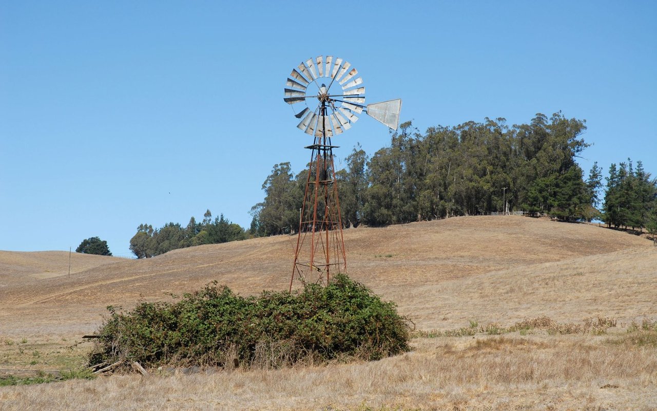 Cotati