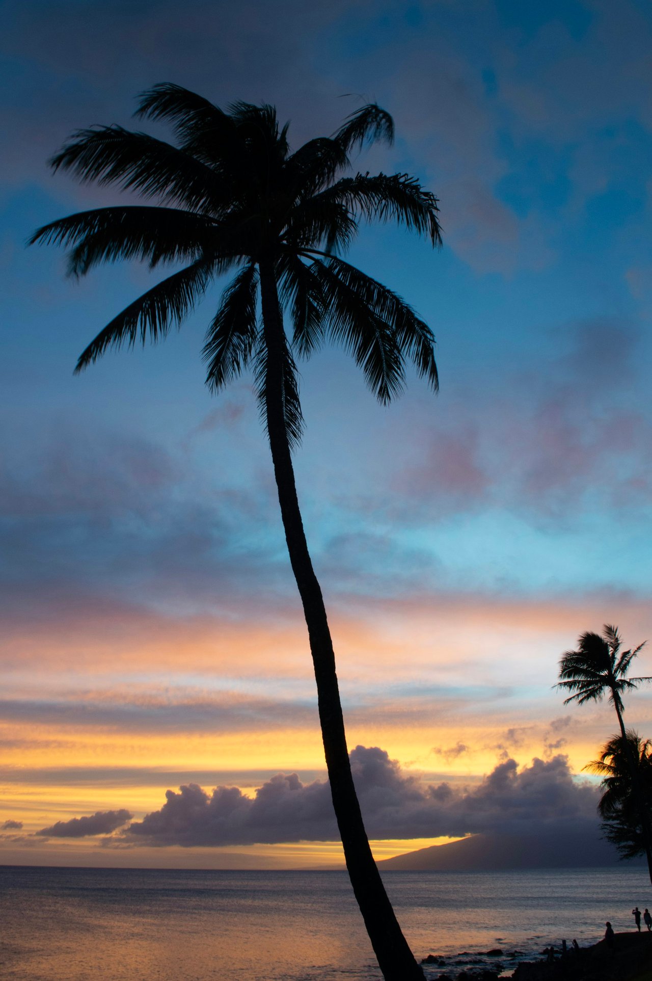 Makali'i at Wailea