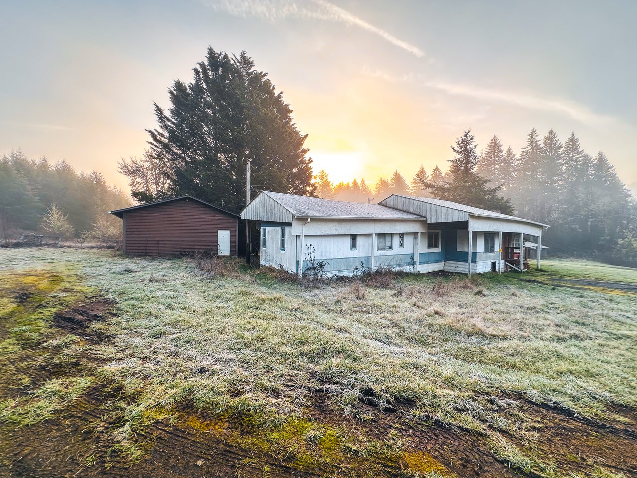 HARRIS FARM & FOREST