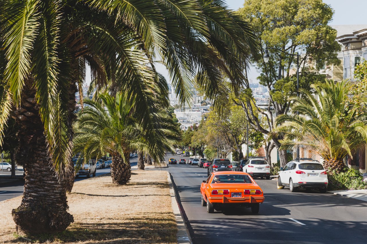 Cow Hollow