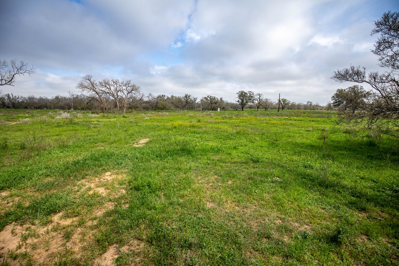 Dry Hollow Creek Ranch | 21.96± Acres | Bexar County