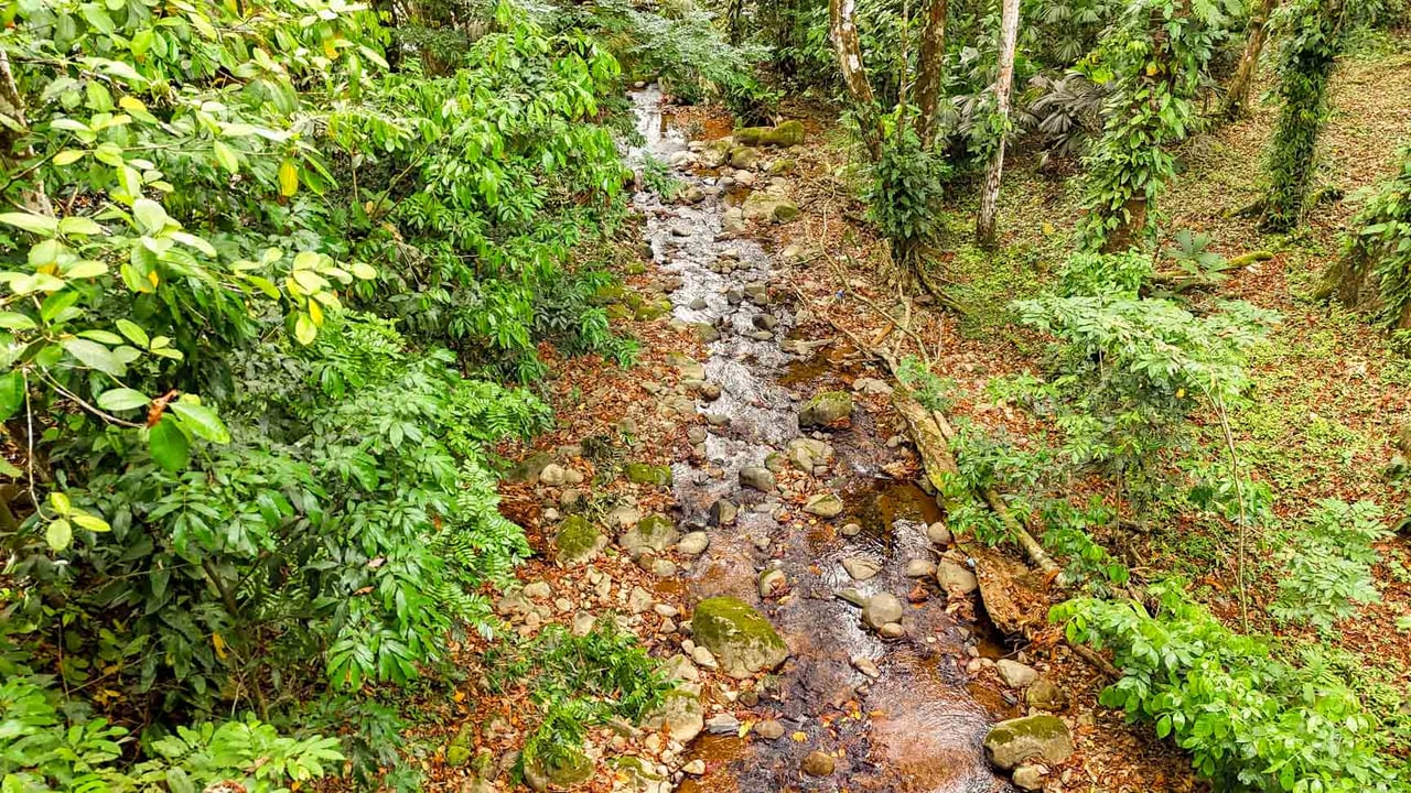 3-Bed Home on Calle Principal Ojochal with River & Jungle