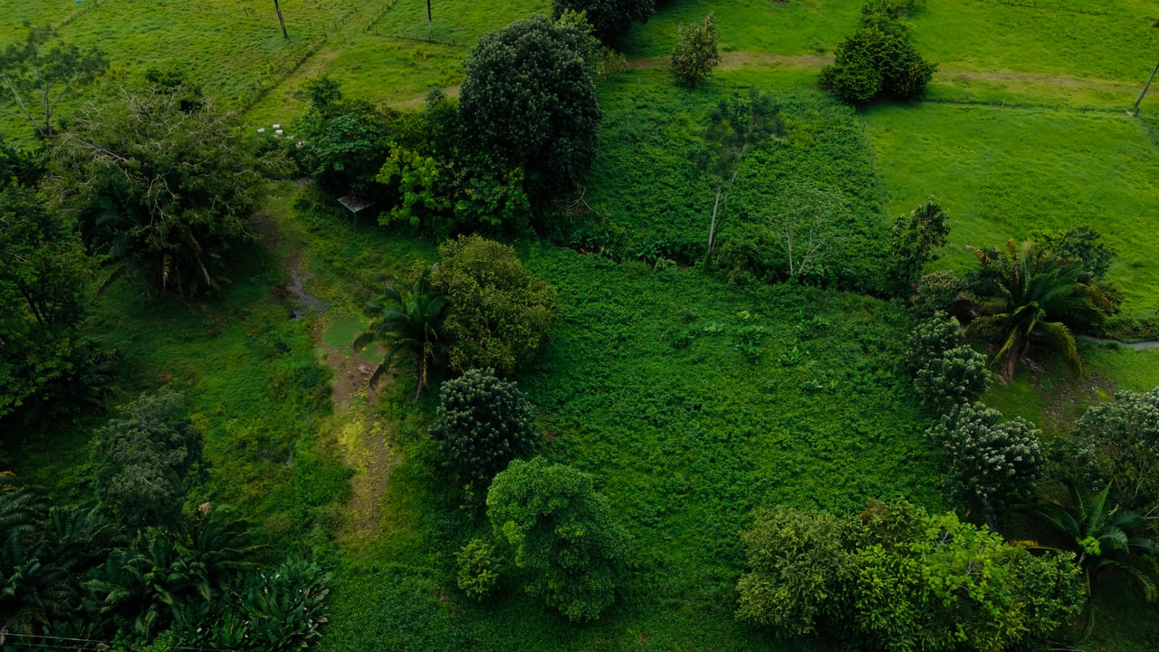 Strategic 5000sqm Commercial Property in Uvita: Perfect for any Business Vision
