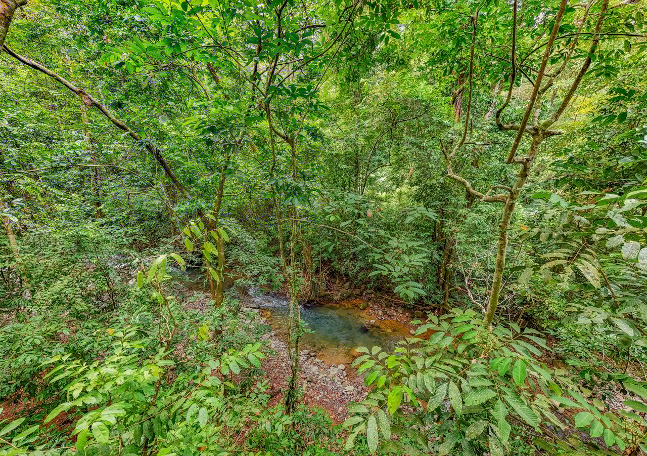 Modern 3-Bed Jungle Home with River and Pool in Cinco Ventanas Ojochal