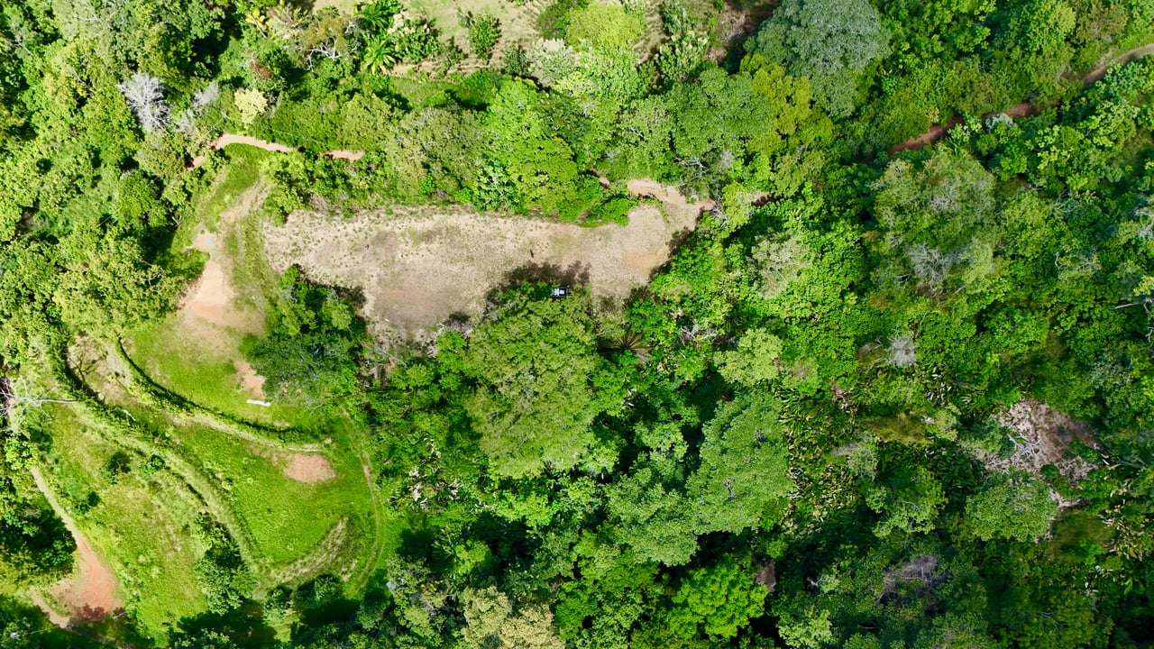 Las Terrazas Dream Estate | Spectacular Ocean & Mountain Views with a Waterfall 