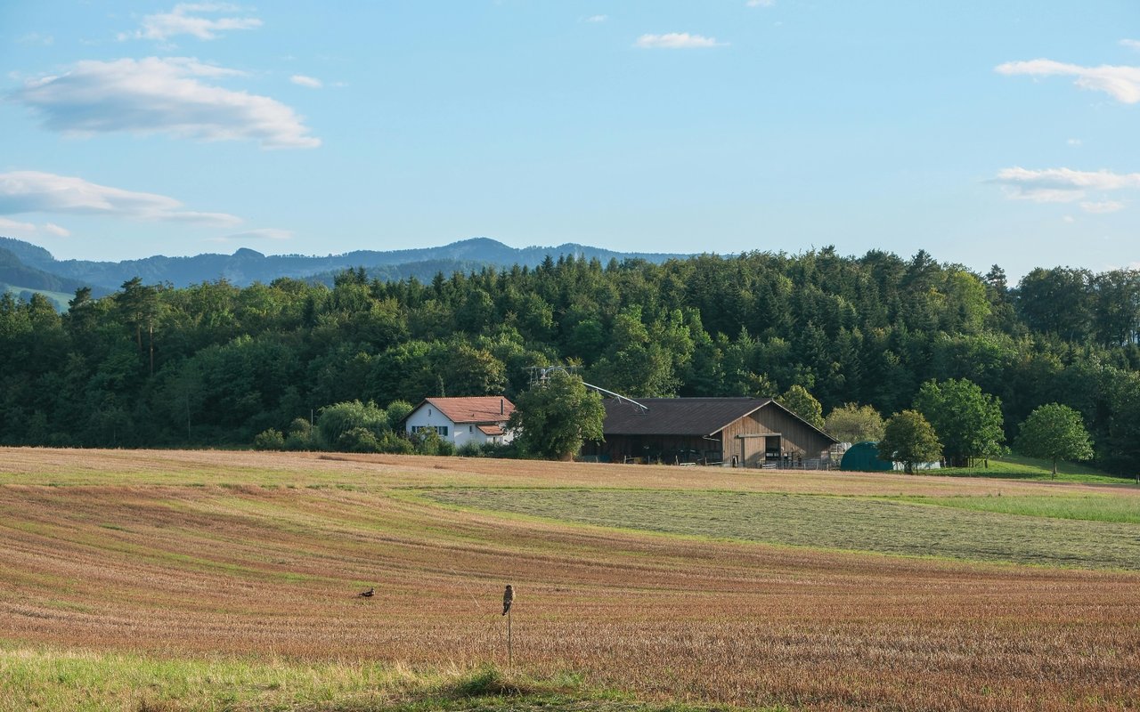 The Pros And Cons of Purchasing A Rural Property