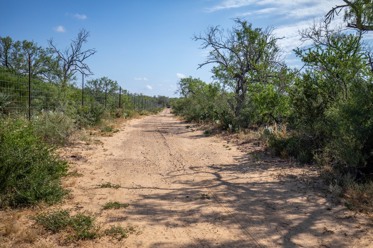 Oaks, Wildlife, & the Quiet of the Countryside | 26.99± Acres | Poteet, TX