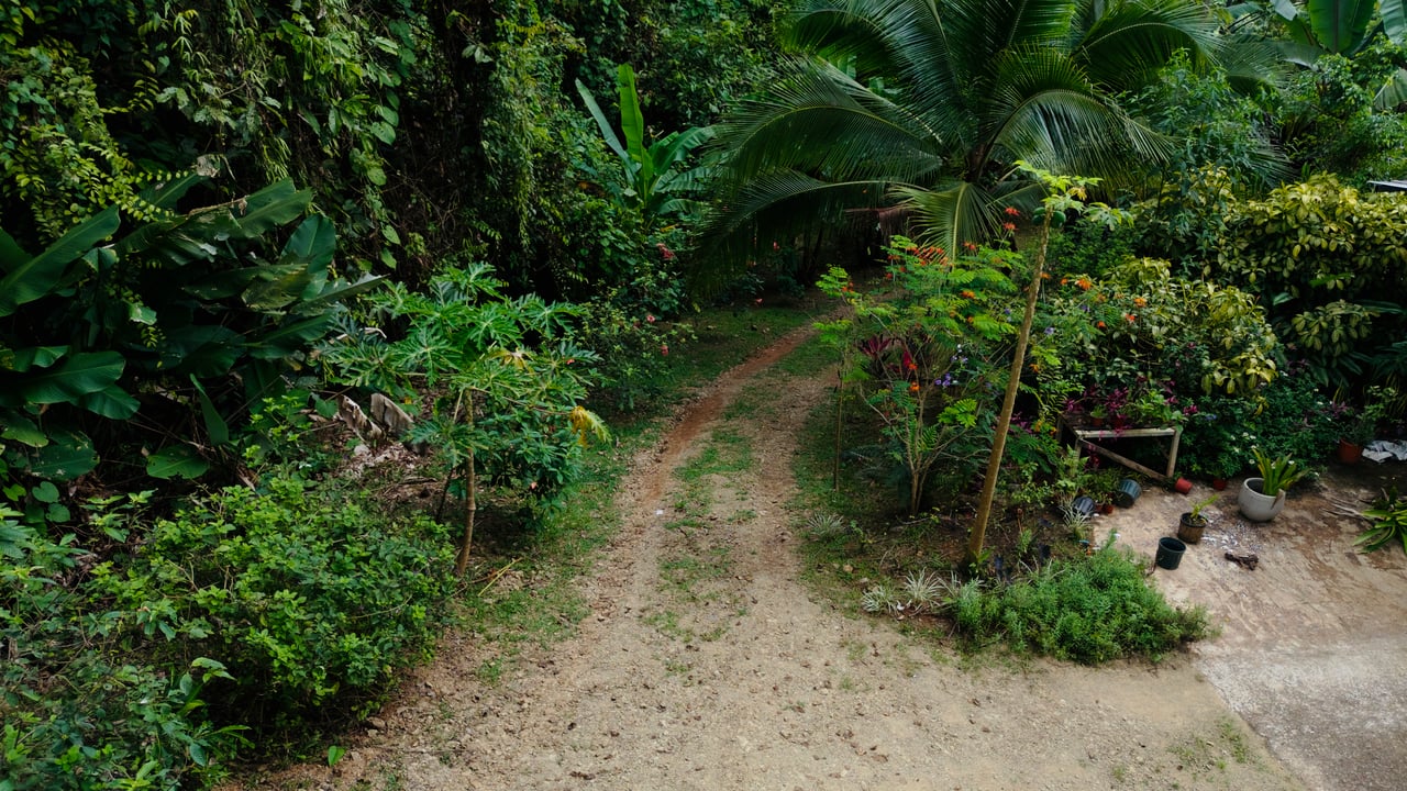 Charming Mountain Retreat minutes from Ojochal