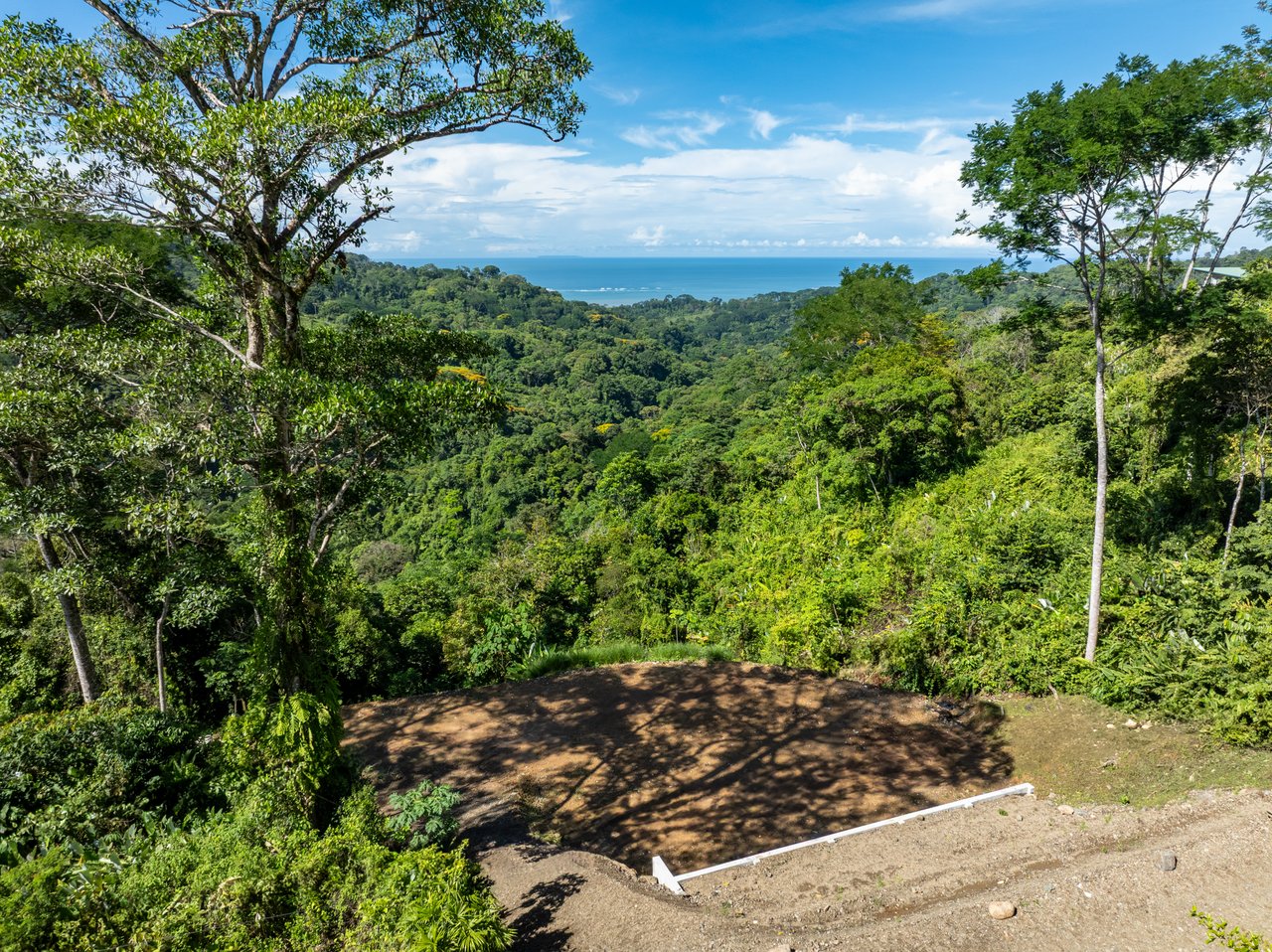 Private 5-acre Riverfront Property with Ocean & Mountain Views | San Josecito