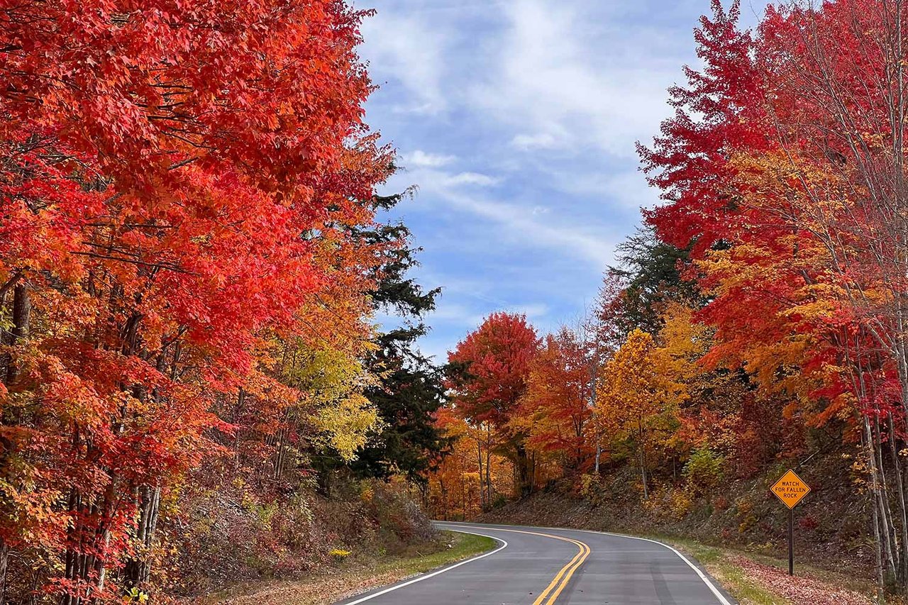 Winding road through colorful autumn forest, with a fallen-rock warning sign.