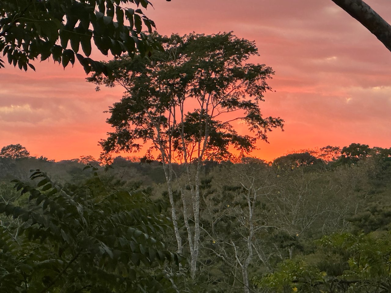 Chakra Bohemian Retreat / Las Delicias, Montezuma , Cóbano