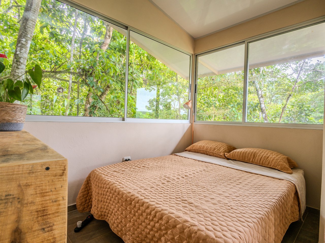 Scenic 2-Home Property for Sale in Serenity Gardens, Costa Rica – 1 Acre Mountain Estate Near Ojochal