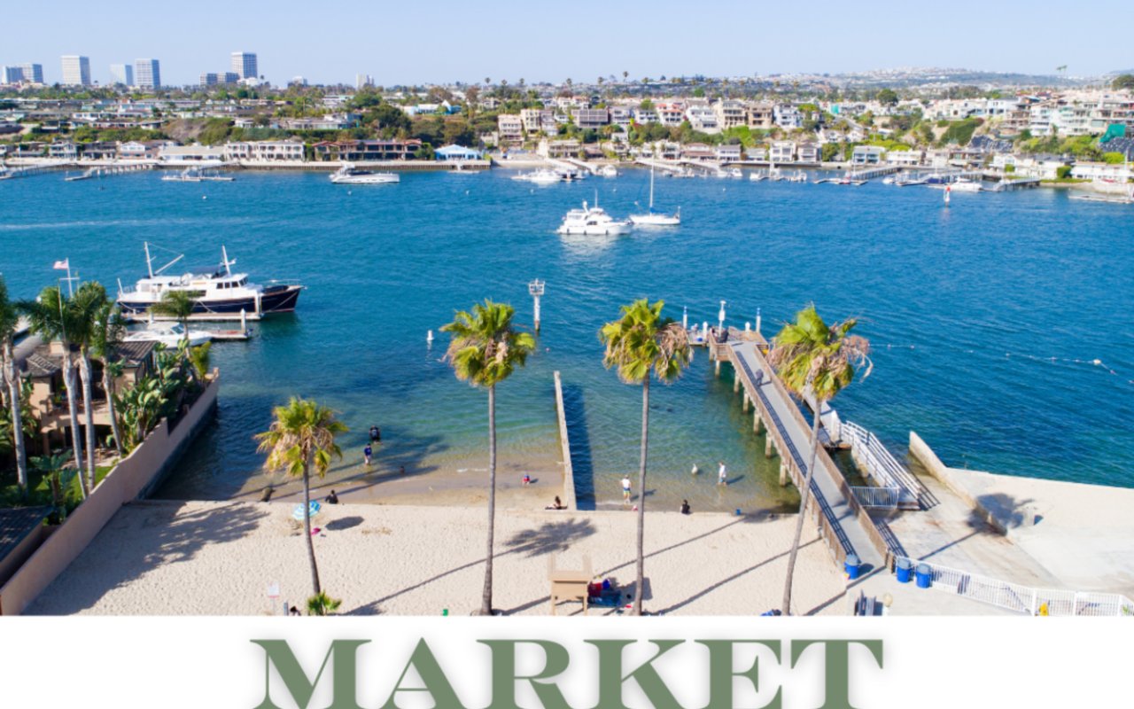 Real Estate Market Update: November 2024