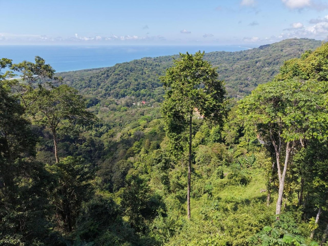 Premier Ocean View Homesite, Dominical, Puntarenas