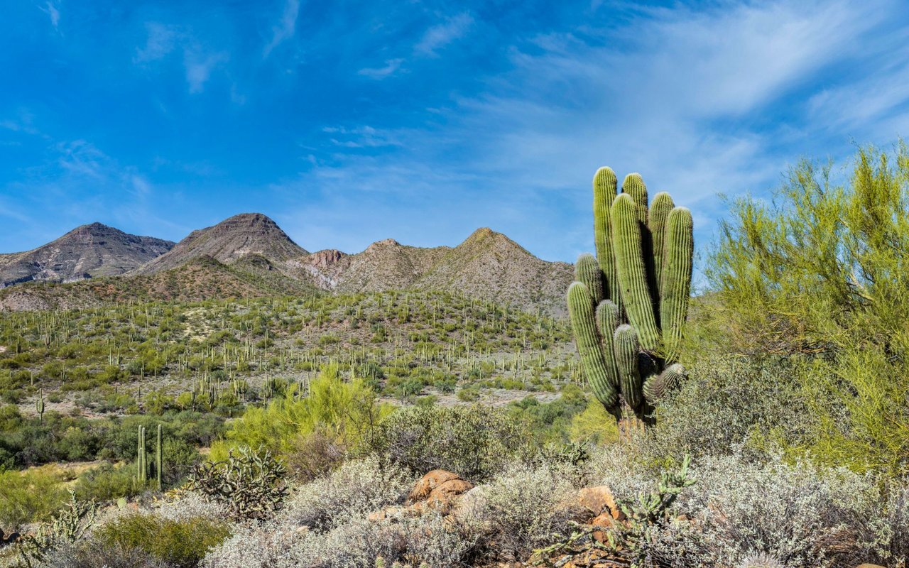 Cave Creek