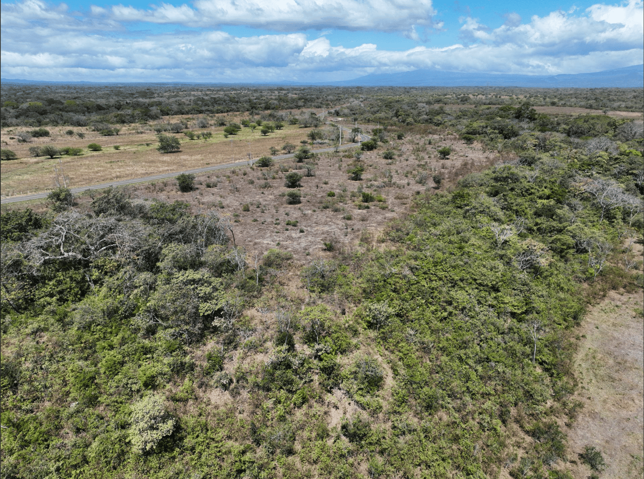 Prime 24 Acre Commercial Lot Near Papagayo Peninsula