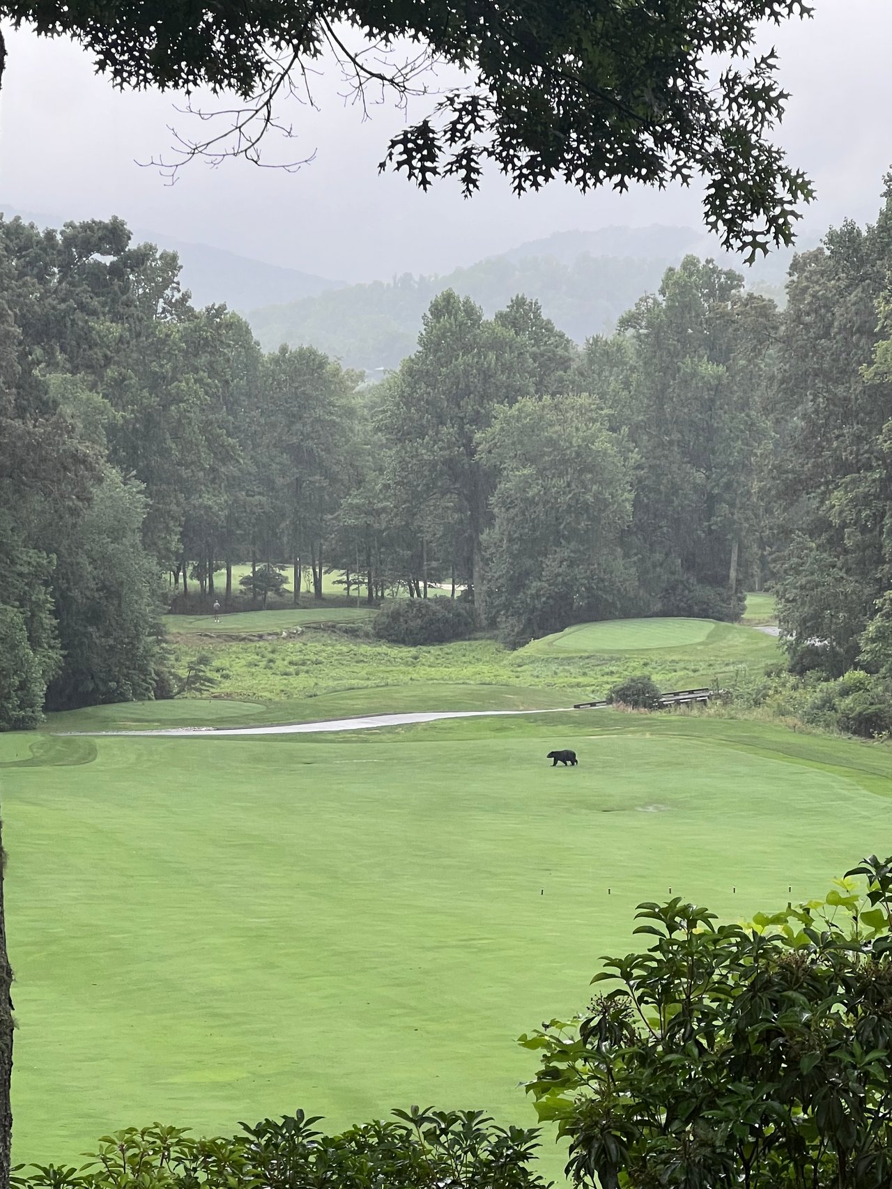 Signature Hole The Cliffs at Walnut Cove Asheville North Carolina