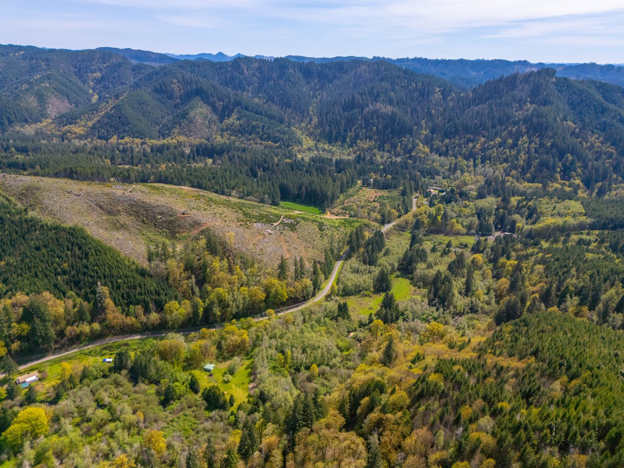 Nelson Mountain Meadows