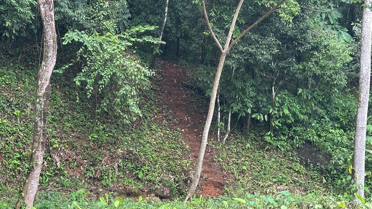 Ready to Build Ojochal Land with Riverfront 1.5 Acres, Residential and Commercial Possibilities!