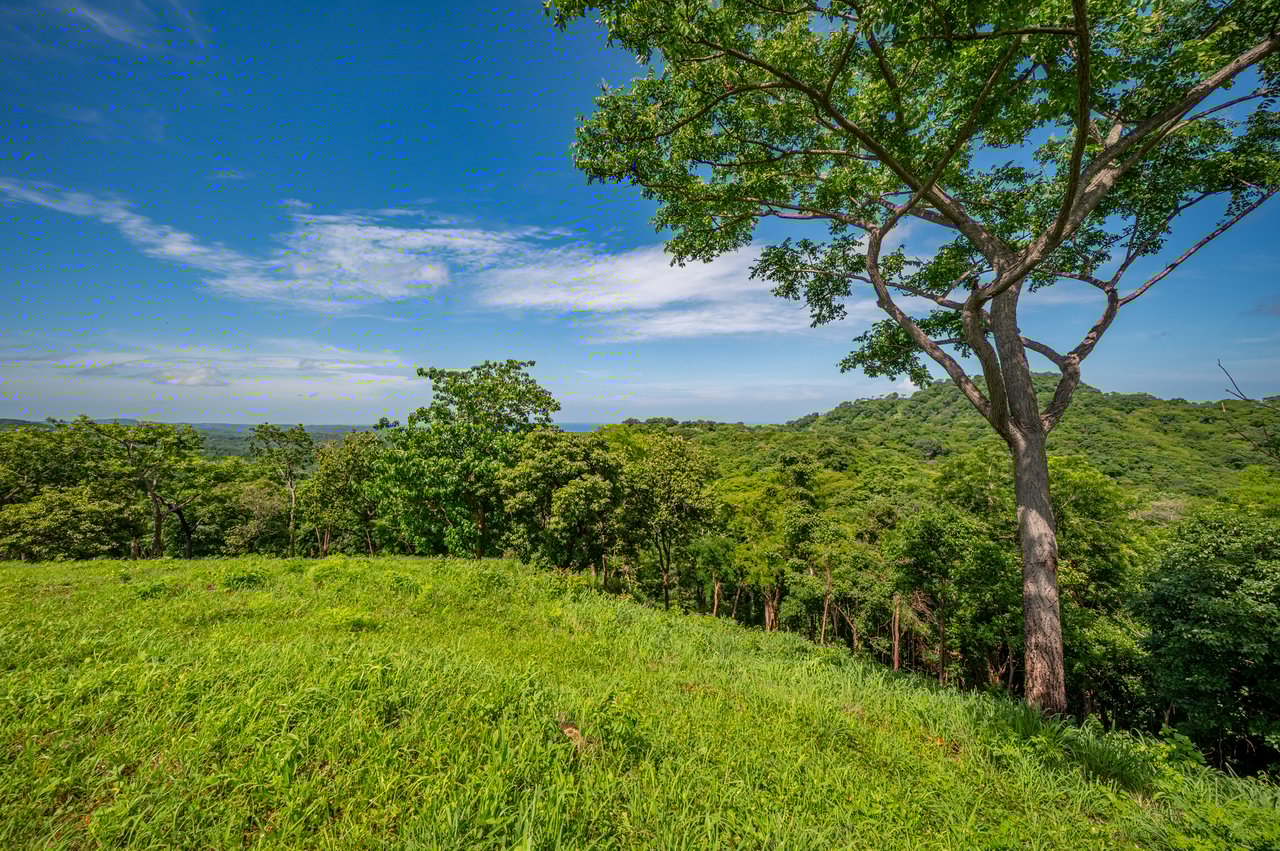 The Enclave At Los Cielos | Ocean & Mountain View Lots Near Playa Avellanas – From $85,000 to $275,000