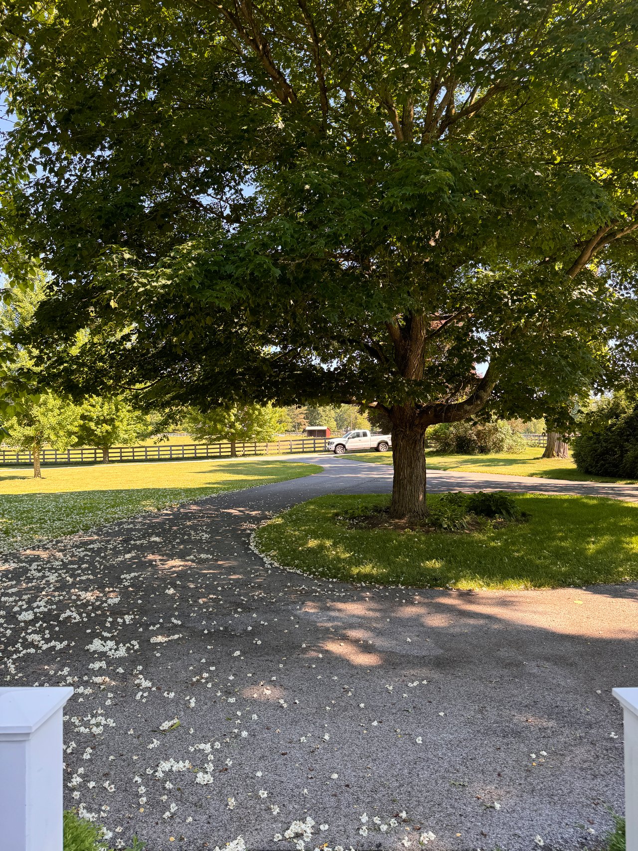 2039 Salt Point Turnpike