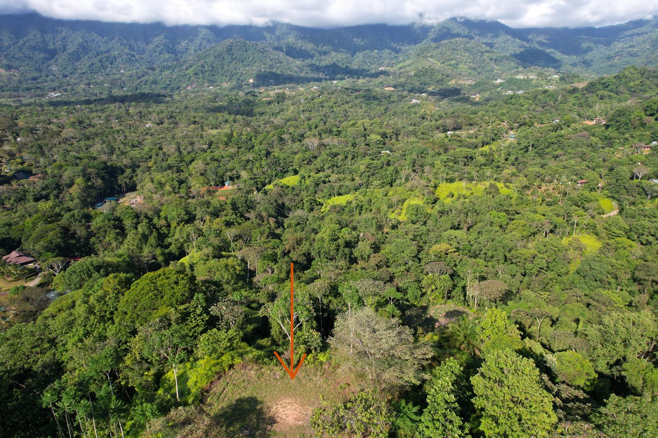 Majestic Expansive Mountain Backdrop