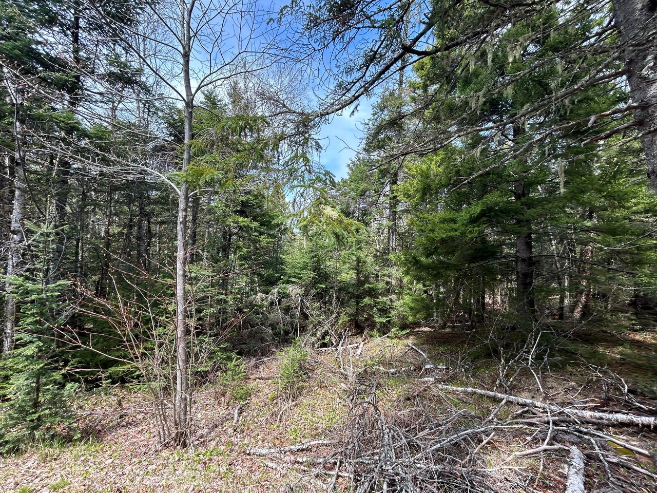 Lot 4 Julian Road Lubec, ME 04631