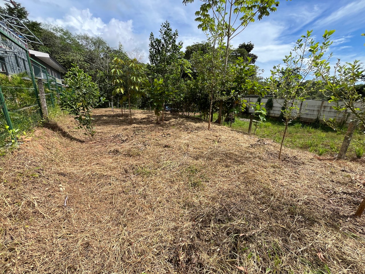 Affordable Uvita Lot UNDER $200-per-sqm - Perfect for Your Dream Home or Airbnb Investment