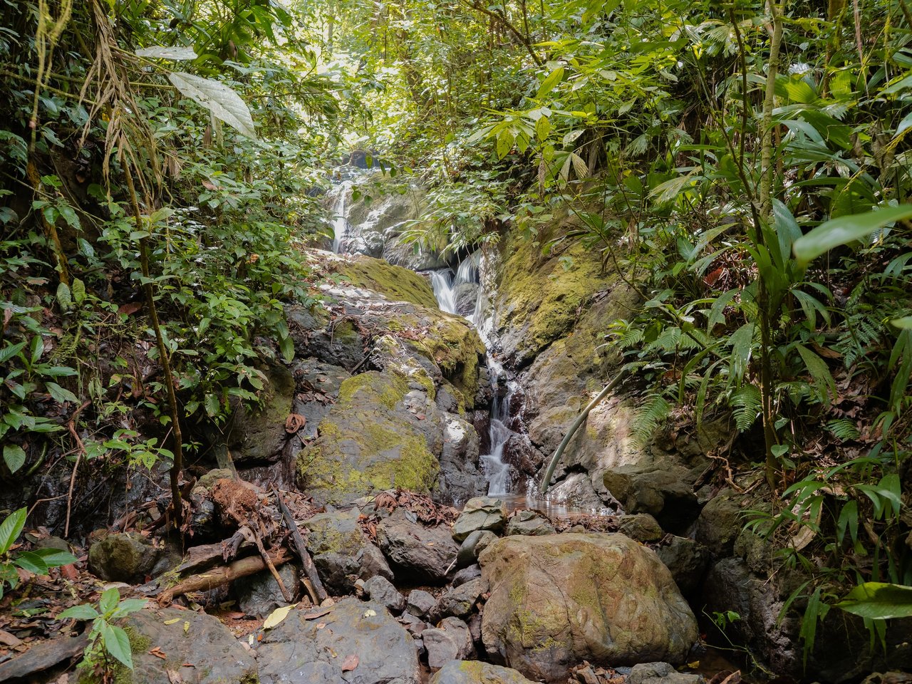 776 Hectares Prime Land in Osa | Ocean Views, Waterfalls, Rivers & Sierpe River Access