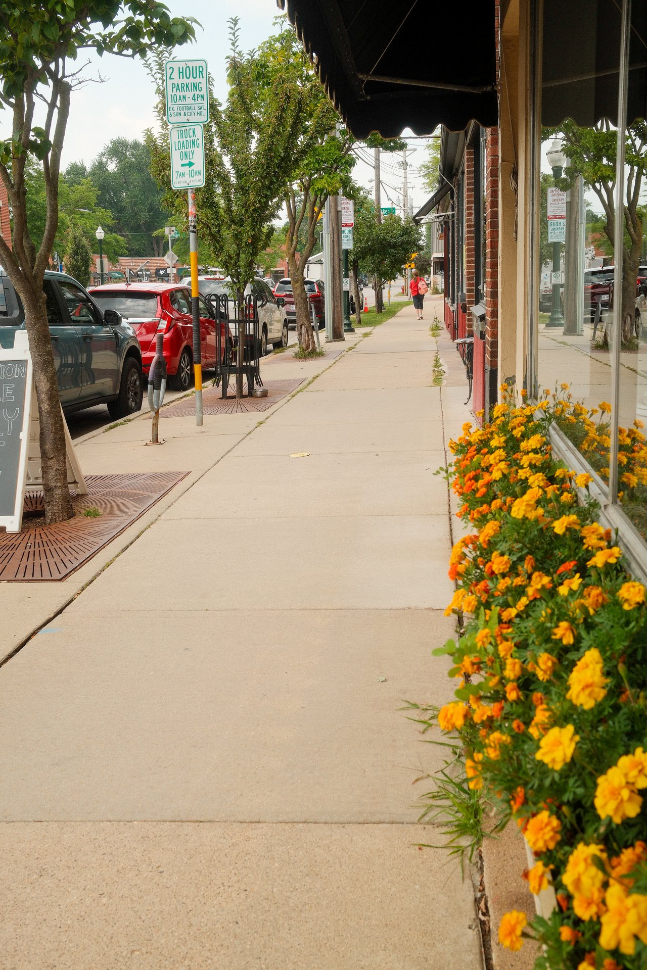 Your Ultimate Guide to Monroe Street in Madison, WI