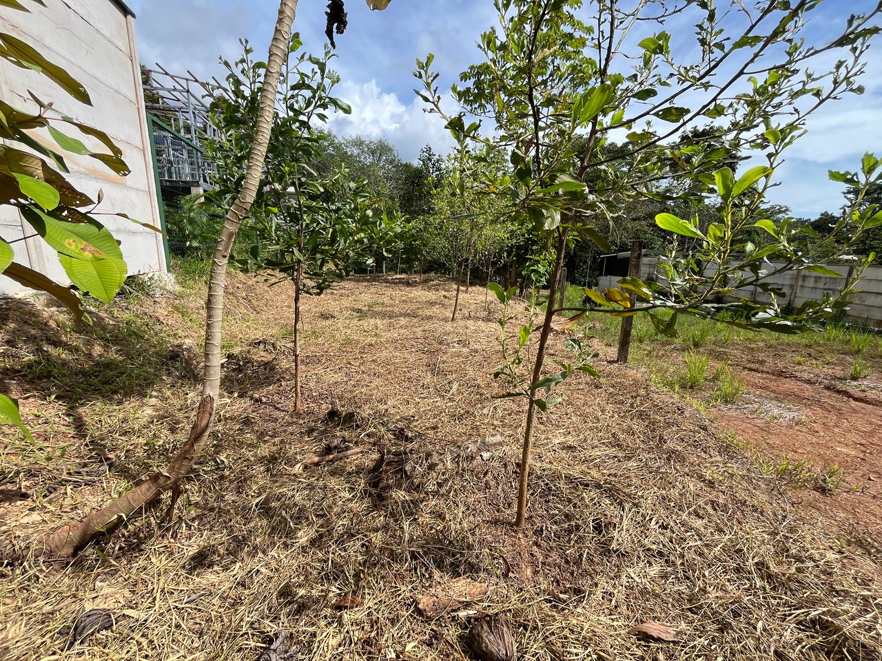 Affordable Uvita Lot UNDER $200-per-sqm - Perfect for Your Dream Home or Airbnb Investment