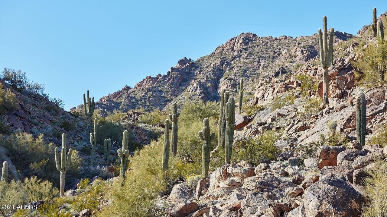 5000 N Camelback Ridge RD 410