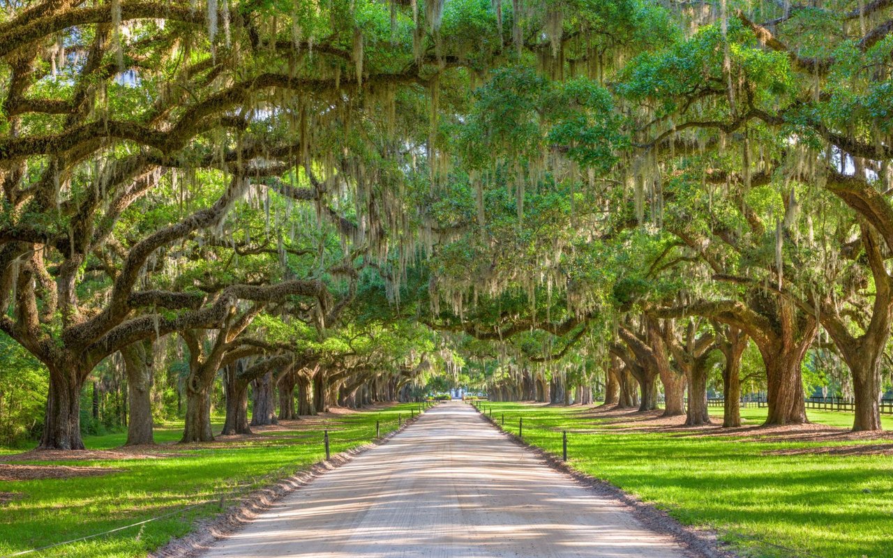 North Mount Pleasant