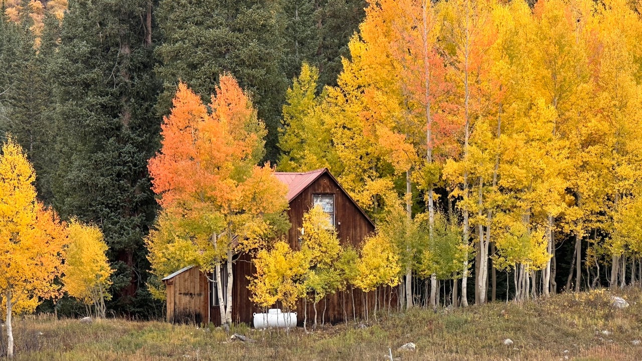 Kebler Pass in the Fall: Colorado’s Golden Wonderland