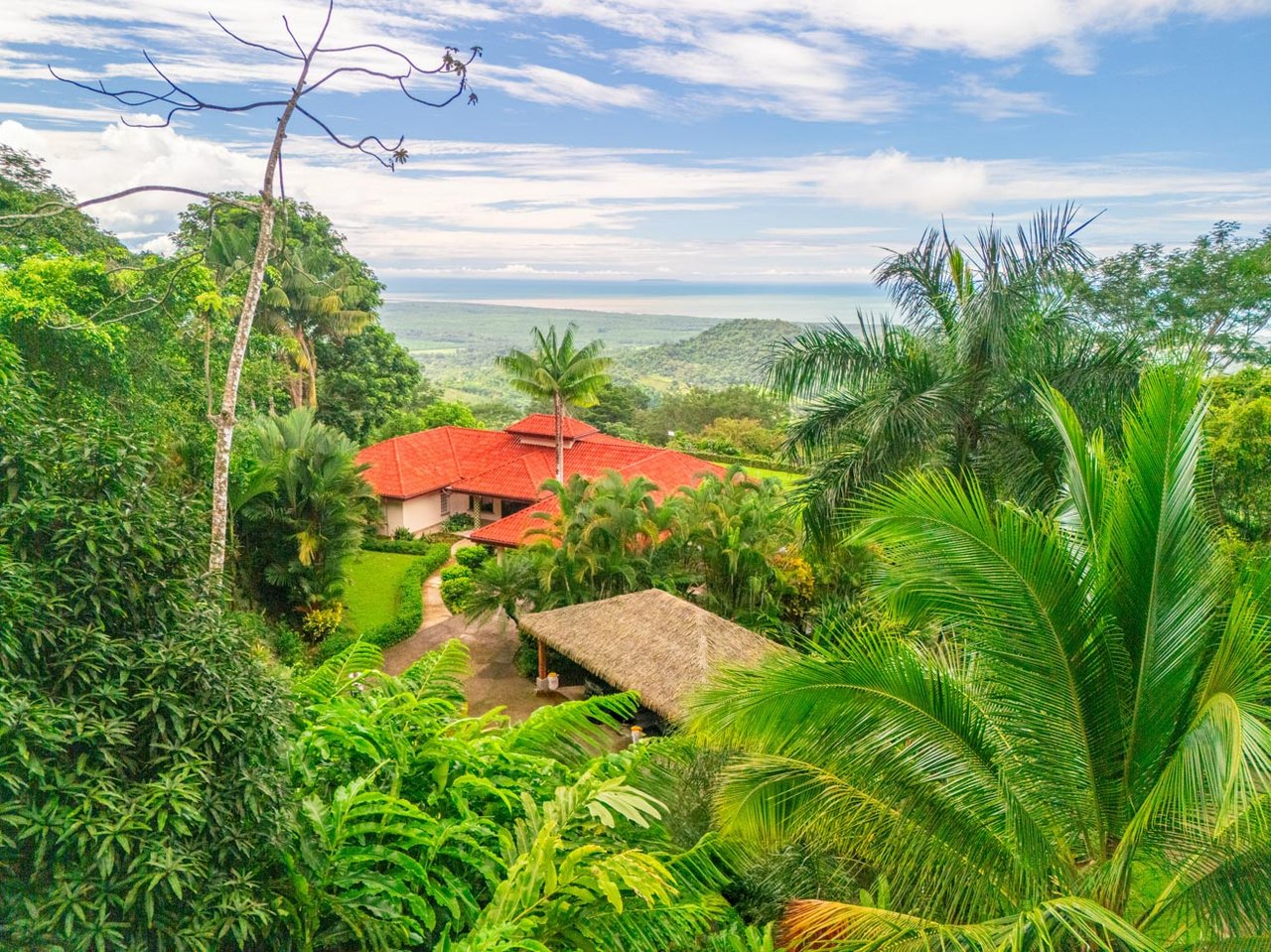 Ocean, jungle & mountain views on a meticulously landscaped 3-home family compound