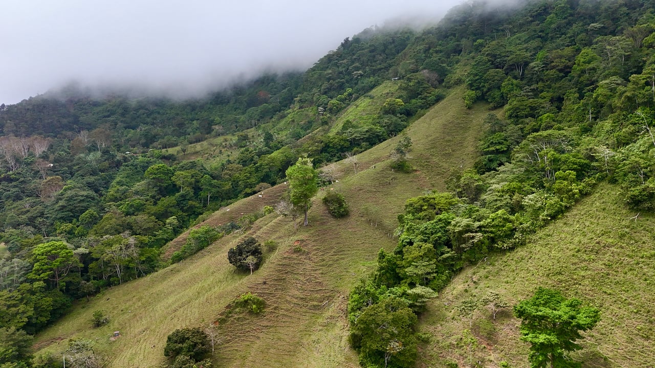 Gorgeous Land in San Luis Morete - Uvita - Over 17 Acres