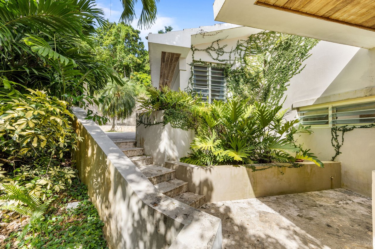 Luxury Income-Producing Estate | Carolina, Puerto Rico